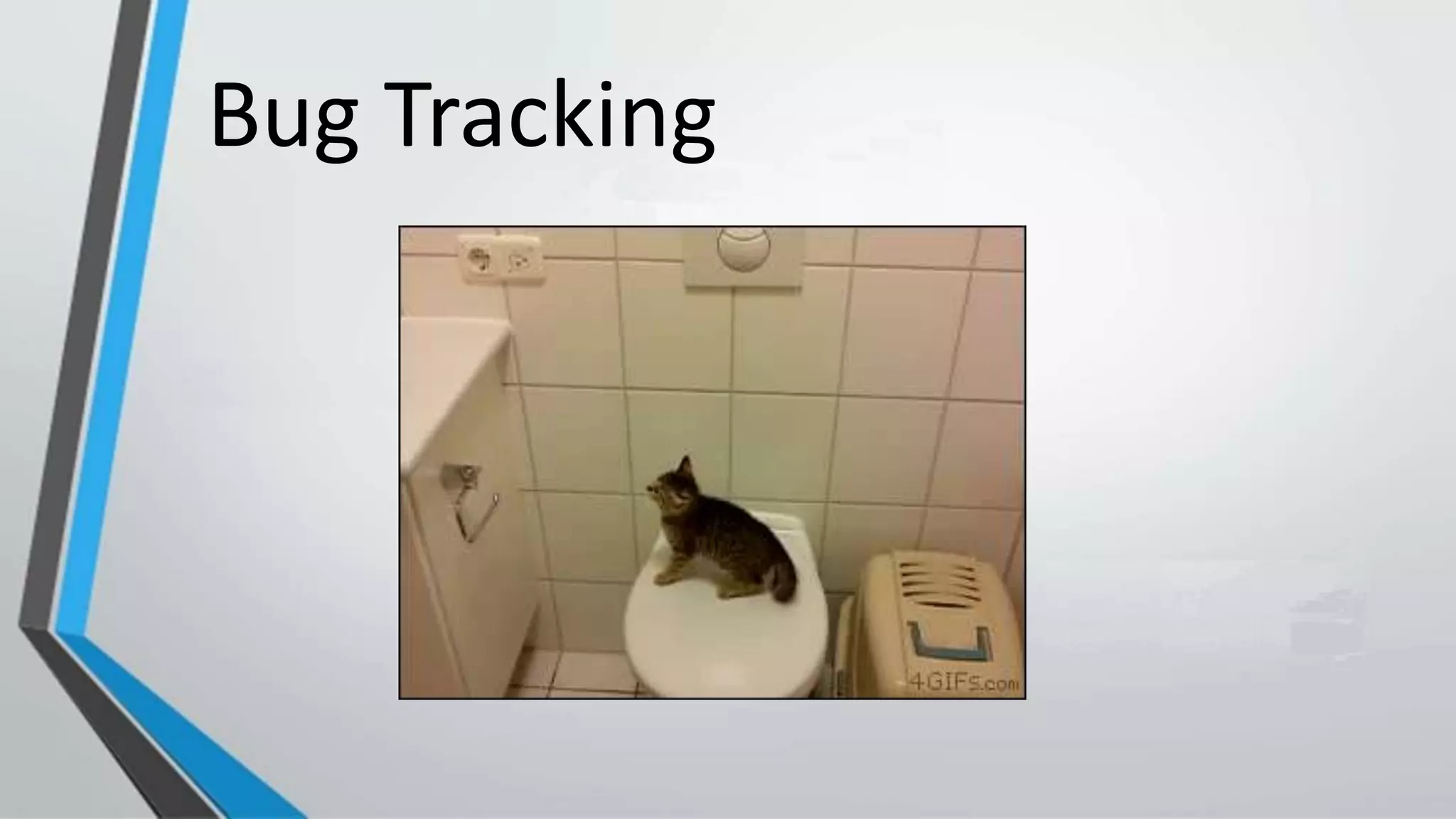 Bug Tracking
 