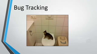 Bug Tracking
 