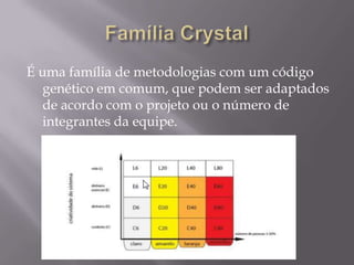 É uma família de metodologias com um código
genético em comum, que podem ser adaptados
de acordo com o projeto ou o número de
integrantes da equipe.

 