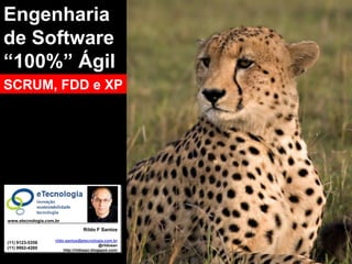 Engenharia
de Software
“100%” Ágil
Engenharia de Software Ágil (SCRUM, FDD e XP)




SCRUM, FDD e XP




       www.etecnologia.com.br

                                                               Rildo F Santos

                                                rildo.santos@etecnologia.com.br
     (11) 9123-5358
                                                                         @rildosan
     (11) 9962-4260                                  http://rildosan.blogspot.com/

Versão 4 6
     Versão                                       Rildo Santos | @rildosan | rildo.santos@etecnologia.com.br | www.etecnologia.com.br | http://etecnologia.ning.com
 