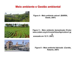 Meio ambiente e Gestão ambiental
Figura 4 – Meio ambiente natural (BARRA,
Gisele, 2007)
Figura 6 – Meio ambiente fabricado (Carotta,
Roberto, 2007)
Figura 5 – Meio ambiente domesticado (Fonte:
www.codem.org.br/investe/fotos/Agricultura1.jp
g
acessado em 12.11. 2007)
 