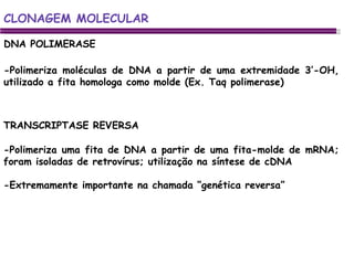 DNA POLIMERASE CLONAGEM MOLECULAR -Polimeriza moléculas de DNA a partir de uma extremidade 3’-OH, utilizado a fita homologa como molde (Ex. Taq polimerase) TRANSCRIPTASE REVERSA -Polimeriza uma fita de DNA a partir de uma fita-molde de mRNA; foram isoladas de retrovírus; utilização na síntese de cDNA -Extremamente importante na chamada “genética reversa” 