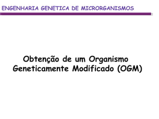 ENGENHARIA GENETICA DE MICRORGANISMOS ENGENHARIA GENETICA DE MICRORGANISMOS Obtenção de um Organismo  Geneticamente Modificado (OGM) 