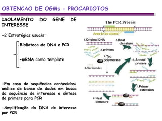 ENGENHARIA GENETICA DE MICRORGANISMOS ISOLAMENTO DO GENE DE INTERESSE -2 Estratégias usuais:  -Biblioteca de DNA e PCR       -mRNA como template   -Em caso de sequências conhecidas: análise de banco de dados em busca da sequência de interesse e síntese de primers para PCR -Amplificação do DNA de interesse por PCR  OBTENCAO DE OGMs - PROCARIOTOS 