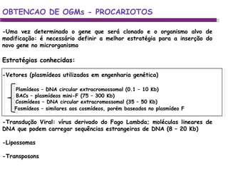 OBTENCAO DE OGMs - PROCARIOTOS -Uma vez determinado o gene que será clonado e o organismo alvo de modificação: é necessário definir a melhor estratégia para a inserção do novo gene no microrganismo Estratégias conhecidas: -Vetores (plasmídeos utilizados em engenharia genética) Plamídeos – DNA circular extracromossomal (0.1 – 10 Kb)    BACs – plasmídeos mini-F (75 – 300 Kb) Cosmídeos – DNA circular extracromossomal (35 – 50 Kb) Fosmídeos – similares aos cosmídeos, porém baseados no plasmídeo F -Transdução Viral: vírus derivado do Fago Lambda; moléculas lineares de DNA que podem carregar sequências estrangeiras de DNA (8 – 20 Kb) -Lipossomas -Transposons 