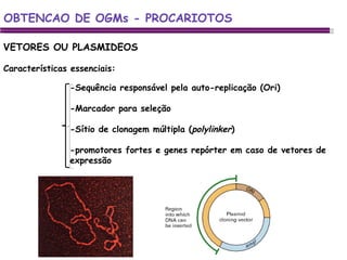 -Sequência responsável pela auto-replicação (Ori) -Marcador para seleção -Sítio de clonagem múltipla ( polylinker ) -promotores fortes e genes repórter em caso de vetores de expressão  VETORES OU PLASMIDEOS Características essenciais: OBTENCAO DE OGMs - PROCARIOTOS 