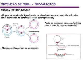 ORIGEM DE REPLICAÇAO -Origem de replicação (geralmente os plasmídeos naturais que são utilizados como  backbones  de construções são autoreplicativos) *pode-se considerar essa característica como a base da clonagem molecular! OBTENCAO DE OGMs - PROCARIOTOS -Plamídeos integrativos ou epissomais  