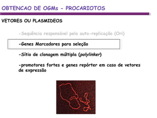 -Sequência responsável pela auto-replicação (Ori) -Genes Marcadores para seleção -Sítio de clonagem múltipla ( polylinker ) -promotores fortes e genes repórter em caso de vetores de expressão  VETORES OU PLASMIDEOS OBTENCAO DE OGMs - PROCARIOTOS 