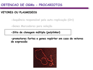 -Sequência responsável pela auto-replicação (Ori) -Genes Marcadores para seleção -Sítio de clonagem múltipla ( polylinker ) -promotores fortes e genes repórter em caso de vetores de expressão  VETORES OU PLASMIDEOS OBTENCAO DE OGMs - PROCARIOTOS 