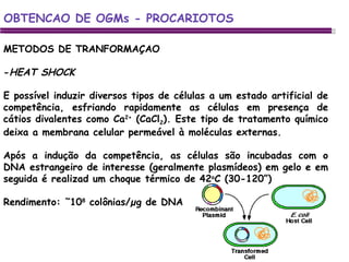 METODOS DE TRANFORMAÇAO - HEAT SHOCK E possível induzir diversos tipos de células a um estado artificial de competência, esfriando rapidamente as células em presença de cátios divalentes como Ca 2+  (CaCl 2 ). Este tipo de tratamento químico deixa a membrana celular permeável à moléculas externas. Após a indução da competência, as células são incubadas com o DNA estrangeiro de interesse (geralmente plasmídeos) em gelo e em seguida é realizad um choque térmico de 42 o C (30-120”) Rendimento: ˜10 8  colônias/µg de DNA OBTENCAO DE OGMs - PROCARIOTOS 