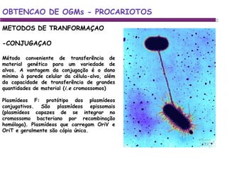 METODOS DE TRANFORMAÇAO -CONJUGAÇAO OBTENCAO DE OGMs - PROCARIOTOS Método conveniente de transferência de material genético para um variedade de alvos. A vantagem da conjugação é o dano mínimo à parede celular da célula-alvo, além da capacidade de transferência de grandes quantidades de material ( i.e  cromossomos) Plasmídeos F: protótipo dos plasmídeos conjugativos. São plasmídeos epissomais (plasmídeos capazes de se integrar no cromossomo bacteriano por recombinação homóloga). Plasmídeos que carregam OriV e OriT e geralmente são cópia única. 