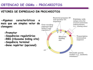 VETORES DE EXPRESSAO EM PROCARIOTOS OBTENCAO DE OGMs - PROCARIOTOS -Algumas características a mais que um simples vetor de clonagem: -Promotor -Sequências regulatórias -RBS (ribosome biding site) -Sequência terminal  -Gene repórter (opcional) 