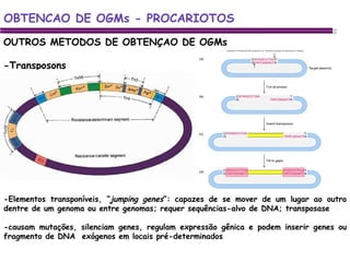 OUTROS METODOS DE OBTENÇAO DE OGMs -Transposons OBTENCAO DE OGMs - PROCARIOTOS -Elementos transponíveis, “ jumping genes ”: capazes de se mover de um lugar ao outro dentre de um genoma ou entre genomas; requer sequências-alvo de DNA; transposase -causam mutações, silenciam genes, regulam expressão gênica e podem inserir genes ou fragmento de DNA  exógenos em locais pré-determinados 
