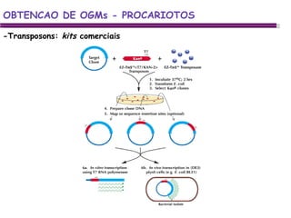 -Transposons:  kits  comerciais OBTENCAO DE OGMs - PROCARIOTOS 