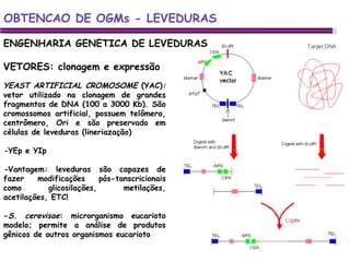 OBTENCAO DE OGMs - LEVEDURAS ENGENHARIA GENETICA DE LEVEDURAS VETORES: clonagem e expressão YEAST ARTIFICIAL CROMOSOME  (YAC) :  vetor utilizado na clonagem de grandes fragmentos de DNA (100 a 3000 Kb). São cromossomos artificial, possuem telômero, centrômero, Ori e são preservado em células de leveduras (lineriazação) - YEp e YIp - Vantagem: leveduras são capazes de fazer modificações pós-tanscricionais como glicosilações, metilações, acetilações, ETC!  - S. cerevisae : microrganismo eucarioto modelo; permite a análise de produtos gênicos de outros organismos eucarioto 
