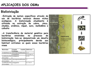 APLICAÇOES DOS OGMs Biolixiviação -Extração de metais específicos através do uso de bactérias naturais desses nichos ecológicos. A biolixiviação atualmente é utilizada na extração de cobre, zinco, chumbo, arsênico, níquel, ouro, molibdênio e colbalto -A transferência de material genético para bactérias envolvidas no processo de biolixiviação tem-se demonstrado um desafio biotecnológico, principalmente devido aos habitast extremos os quais essas bactérias vivem 