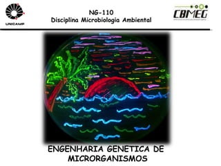 NG-110 Disciplina Microbiologia Ambiental ENGENHARIA GENETICA DE MICRORGANISMOS 