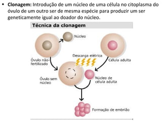 Clonagem:  Introdução de um núcleo de uma célula no citoplasma do óvulo de um outro ser de mesma espécie para produzir um ser geneticamente igual ao doador do núcleo. 