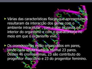Várias das características físicas que apresentamos resultaram da interacção dos genes com o ambiente intracelular , com o que se passa no interior do organismo e com o que acontece no meio em que o organismo vive. Os cromossomas estão organizados em pares, tendo cada célula humana normal 23 pares. Destes 46 cromossomas, 23 são contributo do progenitor masculino e 23 do progenitor feminino. 