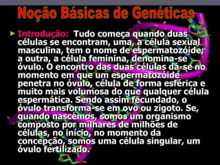 Introdução:  Tudo começa quando duas células se encontram, uma, a célula sexual masculina, tem o nome de espermatozóide; a outra, a célula feminina, denomina-se óvulo. O encontro das duas células dá-se no momento em que um espermatozóide penetra no óvulo, célula de forma esférica e muito mais volumosa do que qualquer célula espermática. Sendo assim fecundado, o óvulo transforma-se em ovo ou zigoto. Se, quando nascemos, somos um organismo composto por milhares de milhões de células, no início, no momento da concepção, somos uma célula singular, um óvulo fertilizado. Noção Básicas de Genéticas  