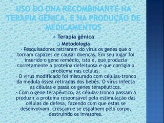  Terapia gênica
 Metodologia
· Pesquisadores retiraram do vírus os genes que o
tornam capazes de causar doenças. Em seu lugar foi
inserido o gene remédio, isto é, que produzia
corretamente a proteína defeituosa e que corrigia o
problema nas células.
· O vírus modificado foi misturado com células-tronco
da medula óssea retiradas dos bebês. O vírus infecta
as células e passa os genes terapêuticos.
· Com o gene terapêutico, as células-tronco passam a
produzir a proteína responsável pela estimulação das
células de defesa, fazendo com que estas se
desenvolvam, cresçam e se espalhem pelo corpo,
destruindo os invasores.
 