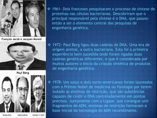 François Jacob e Jacques Monod
Paul Berg
 1972- Paul Berg ligou duas cadeias de DNA. Uma era de
origem animal, a outra bacteriana. Esta foi a primeira
experiência bem sucedida onde foram ligadas duas
cadeias genéticas diferentes, e que é considerada por
muitos autores o início da criação sintética de produtos
de engenharia genética.
 1961- Dois franceses pesquisaram o processo de síntese de
proteínas nas células bacterianas. Descobriram que o
principal responsável pela síntese é o DNA, que passou
então a ser o elemento central das pesquisas de
engenharia genética.
 1978- Um suíço e dois norte-americanos foram laureados
com o Prêmio Nobel de medicina ou fisiologia por terem
isolado as enzimas de restrição, que são substâncias
capazes de cindir o DNA controladamente em pontos
precisos. Juntamente com a Ligase, que consegue unir
fragmentos de ADN, enzimas de restrição formaram a
base inicial da tecnologia do ADN recombinante.
 