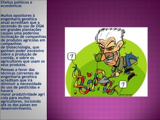 Efeitos políticos e econômicos    Muitos opositores à engenharia genética atual acreditam que a ascensão do uso de OGM em grandes plantações causou uma poderosa inclinação de companhias de produtos agrícolas em companhias de biotecnologia, que ganham poder excessivo sobre a produção de comida, e sobre os agricultores que usam os seus produtos. Pessoas a favor das técnicas correntes de engenharia genética acreditam que irá diminuir a necessidade do uso de pesticidas e haverá maior produtividade agrícola para muitos agricultores, incluindo até os dos países em desenvolvimento. 