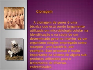 Clonagem A clonagem de genes é uma técnica que está sendo largamente utilizada em microbiologia celular na identificação e na cópia de um determinado gene no interior de um organismo simples empregado como receptor, uma bactéria, por exemplo. Este processo é muito importante na síntese de alguns sub-produtos utilizados para o tratamento de diversas enfermidades. 