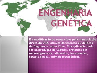 É a modificação de seres vivos pela manipulação direta do DNA, através da inserção ou deleção de fragmentos específicos. Sua aplicação pode ser na produção de vacinas, proteínas por microorganismos, alimentos, transplantes, terapia gênica, animais transgênicos. 