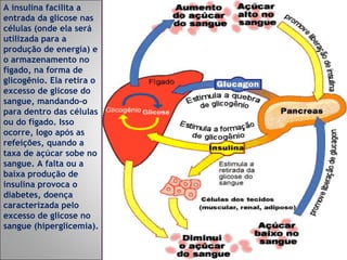 A insulina facilita a entrada da glicose nas células (onde ela será utilizada para a produção de energia) e o armazenamento no fígado, na forma de glicogênio. Ela retira o excesso de glicose do sangue, mandando-o para dentro das células ou do fígado. Isso ocorre, logo após as refeições, quando a taxa de açúcar sobe no sangue. A falta ou a baixa produção de insulina provoca o diabetes, doença caracterizada pelo excesso de glicose no sangue (hiperglicemia). 