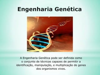 A Engenharia Genética pode ser definida como
o conjunto de técnicas capazes de permitir a
identificação, manipulação, e multiplicação de genes
dos organismos vivos.
 