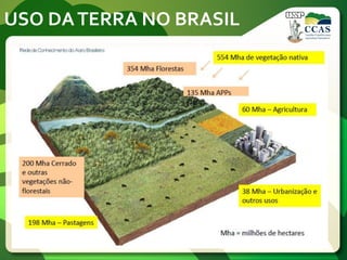 USO DATERRA NO BRASIL
 