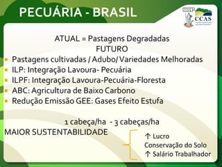 PECUÁRIA - BRASIL
ATUAL = Pastagens Degradadas
FUTURO
 Pastagens cultivadas / Adubo/Variedades Melhoradas
 ILP: Integração Lavoura- Pecuária
 ILPF: Integração Lavoura-Pecuária-Floresta
 ABC: Agricultura de Baixo Carbono
 Redução Emissão GEE: Gases Efeito Estufa
1 cabeça/ha - 3 cabeças/ha
MAIOR SUSTENTABILIDADE ↑ Lucro
Conservação do Solo
↑ Salário Trabalhador
 