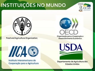 INSTITUIÇÕES NO MUNDO
Organização para a Cooperação e
Desenvolvimento EconômicoFood and Agriculture Organization
Departamento de Agricultura dos
Estados Unidos
 