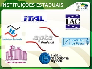 INSTITUIÇÕES ESTADUAIS
 