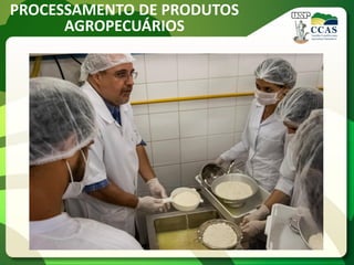 PROCESSAMENTO DE PRODUTOS
AGROPECUÁRIOS
 