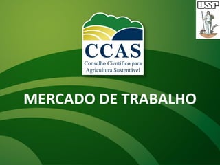 MERCADO DE TRABALHO
 