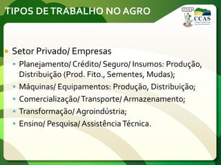 TIPOS DETRABALHO NO AGRO
 Setor Privado/ Empresas
 Planejamento/ Crédito/ Seguro/ Insumos: Produção,
Distribuição (Prod. Fito., Sementes, Mudas);
 Máquinas/ Equipamentos: Produção, Distribuição;
 Comercialização/Transporte/ Armazenamento;
 Transformação/ Agroindústria;
 Ensino/ Pesquisa/ AssistênciaTécnica.
 