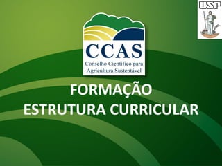FORMAÇÃO
ESTRUTURA CURRICULAR
 