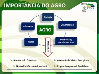 IMPORTÂNCIA DO AGRO
Energia
Ornamentais
Medicinais/
condimentaresFibras
Alimento
AGRO
tendências
 Aumento do Consumo
 Novos Padrões de Alimentação
 Alteração da Matriz Energética
 Exigências quanto à Qualidade
 