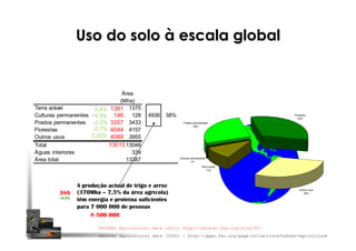 Uso do solo à escala global
Área
(Mha)
Terra arável 1375
Culturas permanentes 128 4936 38%
Prados permanentes 3433
Florestas 4157
Outros usos 3955
Total 13048
Águas interiores 339
Área total 13387
FAOSTAT Agricultural data (2000) - http://apps.fao.org/page/collections?subset=agriculture
Terra arável
11%
Culturas permanentes
1%
Prados permanentes
26%
Florestas
32%
Outros usos
30%
A produção actual de trigo e arroz
(370Mha – 7,5% da área agrícola)
têm energia e proteína suficientes
para 7 000 000 de pessoas
1381
146
3357
4044
4088
13015
0,4%
14,3%
-2,2%
-2,7%
3,35%
386
+4,5%
FAOSTAT Agricultural data (2011) http://faostat.fao.org/site/567
8 500 000
 