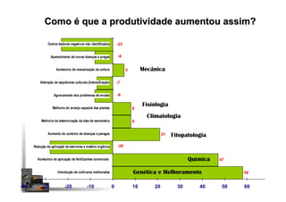 Como é que a produtividade aumentou assim?
58
47
21
8
8
5
-23
-8
-7
-8
-28
-40 -30 -20 -10 0 10 20 30 40 50 60 70
Introdução de cultivares melhoradas
Acréscimo de aplicação de fertilizantes comerciais
Redução da aplicação de estrumes e matéria orgânica
Aumento do controlo de doenças e paragas
Melhoria da determinação da data de sementeira
Melhoria do arranjo espacial das plantas
Agravamento dos problemas de erosão
Alteração de sequências culturais (Intensificação)
Acréscimo de mecanização da cultura
Aparecimento de novas doenças e pragas
Outros factores negativos não identificados
Genética e Melhoramento
Química
Fitopatologia
Fisiologia
Climatologia
Mecânica
 