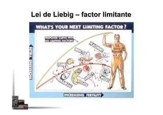 Lei de Liebig – factor limitante
 
