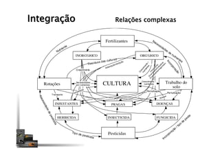 Integração
CULTURARotações
Pesticidas
Fertilizantes
Trabalho do
solo
INORG‰NICO ORG‰NICO
HERBICIDA INSECTICIDA FUNGICIDA
INFESTANTES PRAGAS DOENÇAS
Incorporação
Necessidades de nutrientes
Incorporação
/ tipo
de
peste
Perturbação
Perturbação
Resíduos das culturas
Necessidades
em nutrientes
Competição
Ataque
Ataque
Tipo de pesticida
Necessidadedepesticida
Transporte
Transporte Transporte
Crescimento
Crescim
ento
/
nutrientes
C
rescim
ento
D
iversidade/S
inergistas
D
iversidade/antagonistas
Crescimento /
nutrientes
Adsorpção/sorpção
Nutriente
Relações complexas
 