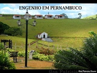ENGENHO EM PERNAMBUCO 