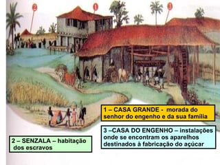 1 – CASA GRANDE -  morada do senhor do engenho e da sua família 2 – SENZALA – habitação  dos escravos 3 –CASA DO ENGENHO – instalações onde se encontram os aparelhos destinados à fabricação do açúcar  