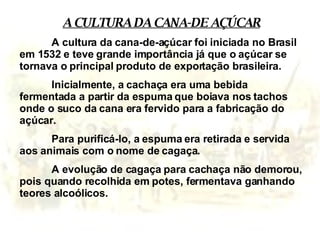 A CULTURA DA CANA-DE AÇÚCAR A cultura da cana-de-açúcar foi iniciada no Brasil em 1532 e teve grande importância já que o açúcar se tornava o principal produto de exportação brasileira.  Inicialmente, a cachaça era uma bebida fermentada a partir da espuma que boiava nos tachos onde o suco da cana era fervido para a fabricação do açúcar.  Para purificá-lo, a espuma era retirada e servida aos animais com o nome de cagaça.  A evolução de cagaça para cachaça não demorou, pois quando recolhida em potes, fermentava ganhando teores alcoólicos. 