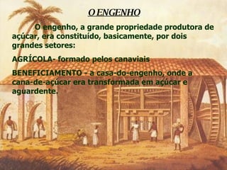 O ENGENHO O engenho, a grande propriedade produtora de açúcar, era constituído, basicamente, por dois grandes setores:  AGRÍCOLA- formado pelos canaviais BENEFICIAMENTO - a casa-do-engenho, onde a cana-de-açúcar era transformada em açúcar e aguardente. 