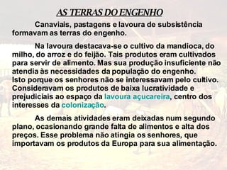 Canaviais, pastagens e lavoura de subsistência formavam as terras do engenho.  Na lavoura destacava-se o cultivo da mandioca, do milho, do arroz e do feijão. Tais produtos eram cultivados para servir de alimento. Mas sua produção insuficiente não atendia às necessidades da população do engenho.  Isto porque os senhores não se interessavam pelo cultivo. Consideravam os produtos de baixa lucratividade e prejudiciais ao espaço da  lavoura açucareira , centro dos interesses da  colonização .  As demais atividades eram deixadas num segundo plano, ocasionando grande falta de alimentos e alta dos preços. Esse problema não atingia os senhores, que importavam os produtos da Europa para sua alimentação. AS TERRAS DO ENGENHO 