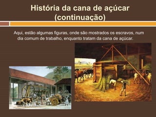 História da cana de açúcar
(continuação)
Aqui, estão algumas figuras, onde são mostrados os escravos, num
dia comum de trabalho, enquanto tratam da cana de açúcar.
 